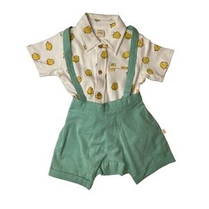 Hallmark Baby NEW Boys Green Baby Chick Overall Shorts and Shirt 12-18 Mos